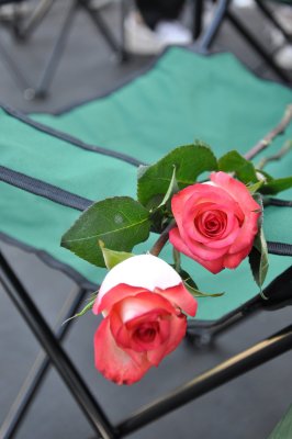 DSC_8756.JPG