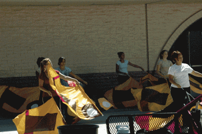 DSC_0266.gif
