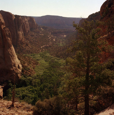 Tsegi Canyon Trail