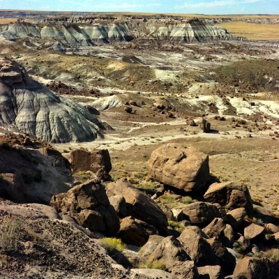 Jasper Forest Overlook