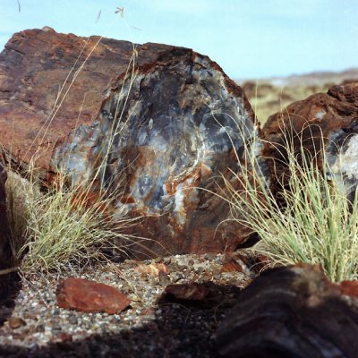 Petrified Forest National Park, 1968