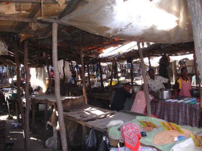 Material Section of the Market