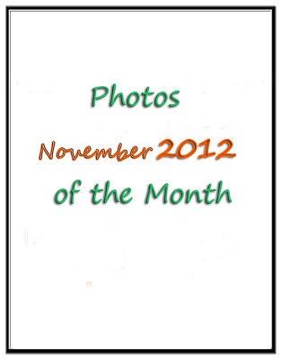 Photos of the Month: November 2012