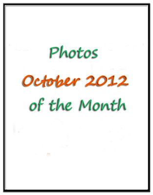 Photos of the Month: October