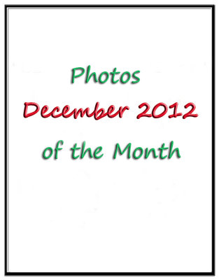Photos of the Month December 2012