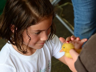 At the county fair  by Walt Polley