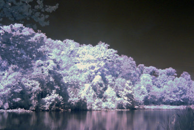 The Lake IR