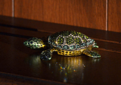 Turtle Box