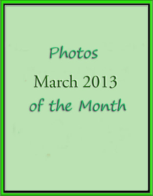 Photos of the Month: March 2013