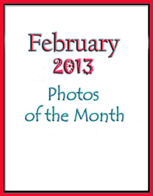 Photos of the Month: February 2013