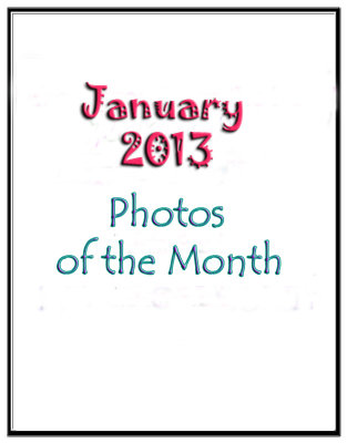 Photos of the Month: January 2013