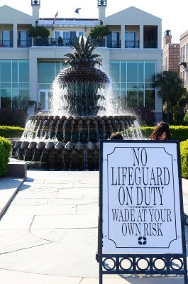 No Lifeguard