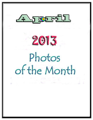 Photos of the Month: April 2013