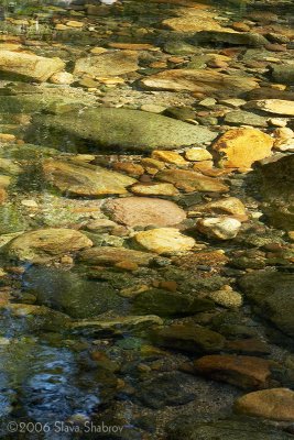 Creek and Sun