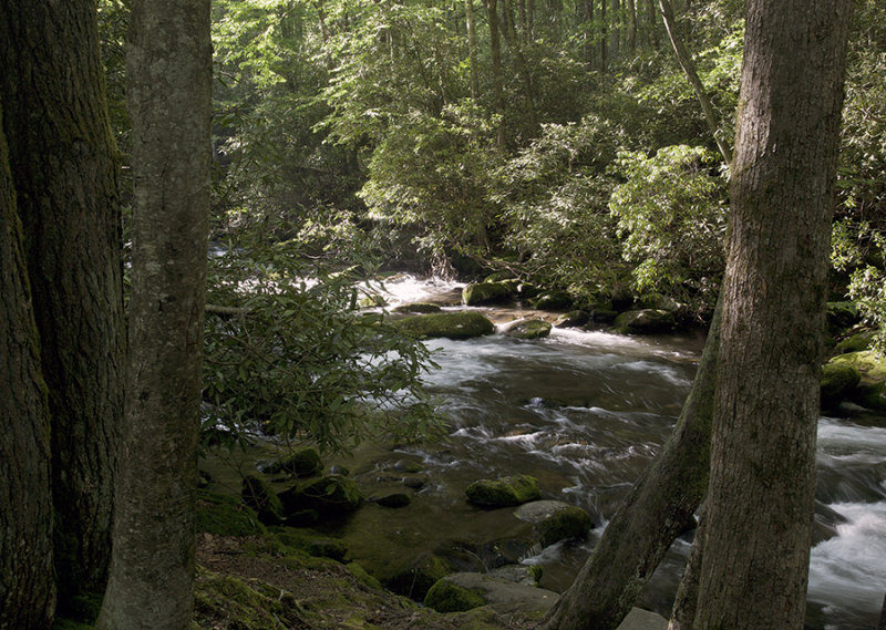 Oconaluftee River In The Spring