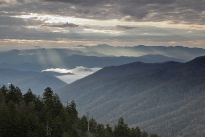 Morning Light Rays-View From Newfound Gap Road And The Oconoluluftee