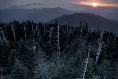 A Birds Eye View At Sunrise Above Clingmans Dome 