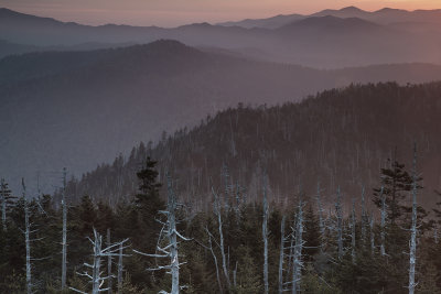 Morning Colors From Clingmans Dome