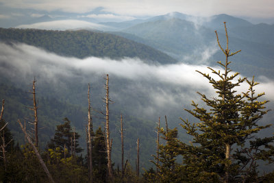 Looking Across The Park From The  Clingmans Dome Overlook