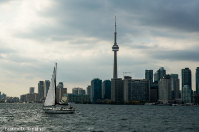 _DSC4358.jpg