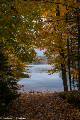 _DSC4653.jpg