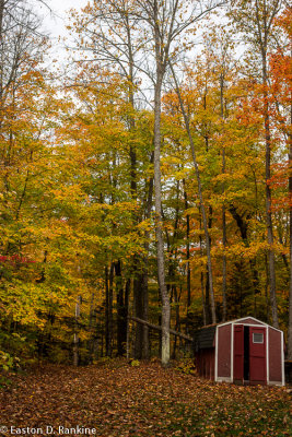 _DSC4658.jpg