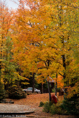 _DSC4678.jpg