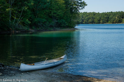 _DSC3340.jpg