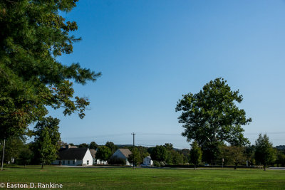 _DSC3593.jpg