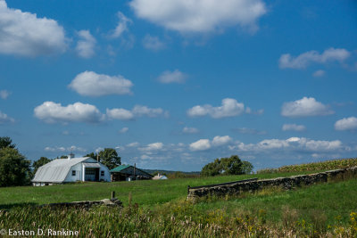 _DSC3685.jpg