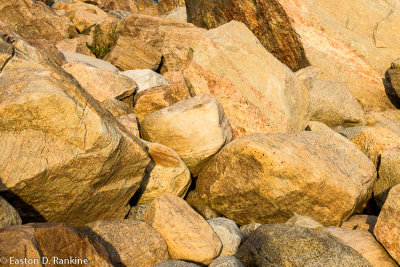 _DSC3800.jpg