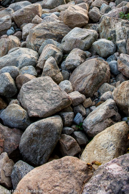 _DSC3804.jpg