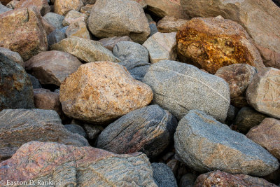 _DSC3812.jpg