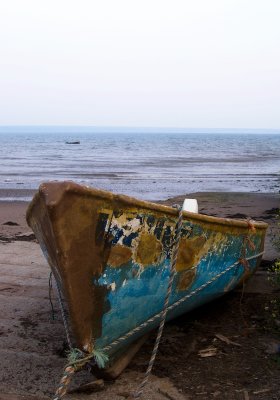 Conoe - Bay of Fundy