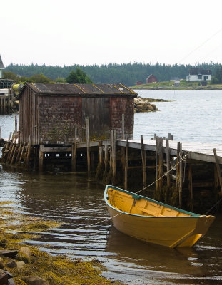 Yellow Boat