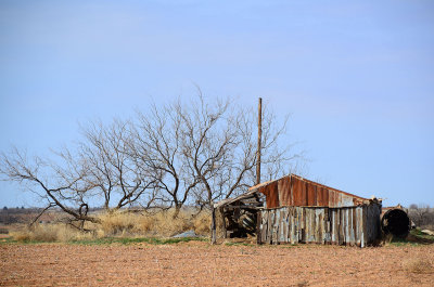 Crazy barn siding