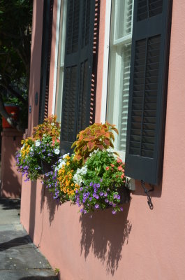 DSC_0062.JPG