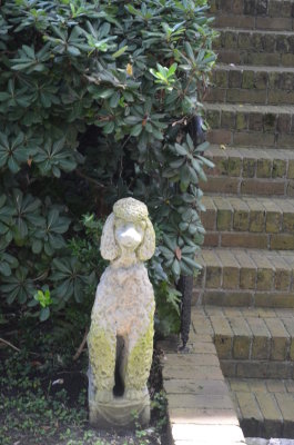 DSC_0128.JPG