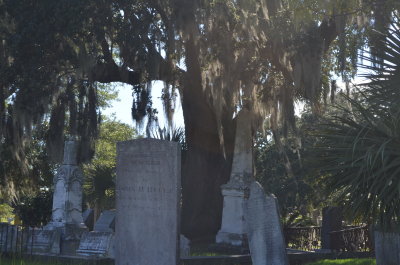 DSC_0415.JPG