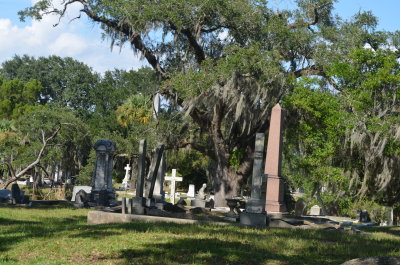 DSC_0421.JPG
