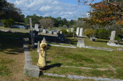 DSC_0422.JPG