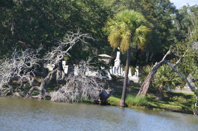DSC_0425.JPG