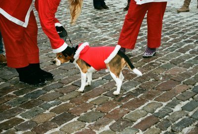 Santas fun run Riga 2012