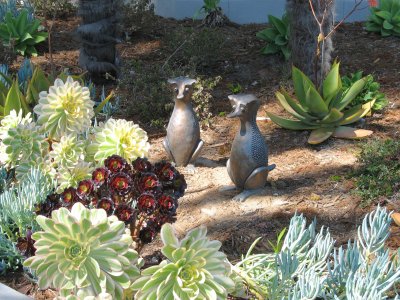 Succulent garden and bronze platypus-like creatures (Wowhaus), Sunnyside Conservatory