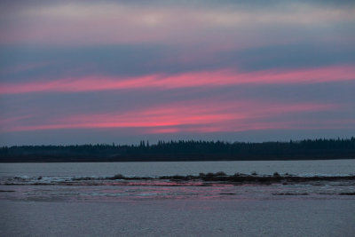 Pink clouds over an ice free river 2012 November 19th before dawn.