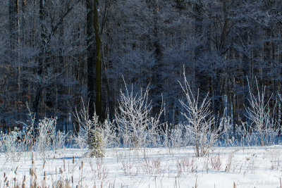 304A4611-Edit.jpg