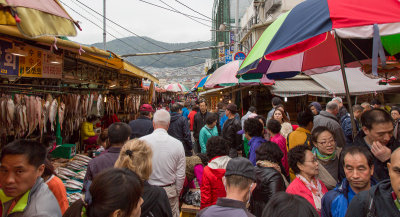 Busan Fish Market