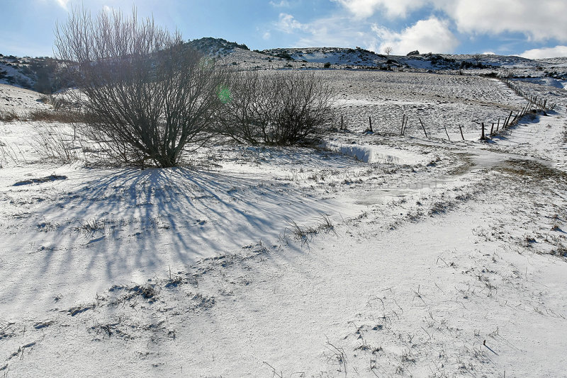 Auvergne - Rgion de Besse - Randonnes hivernales en janvier 2013