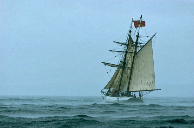 Douarnenez 2006 - Journée du lundi 31 juillet