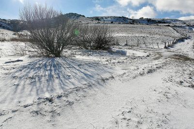 Auvergne - Rgion de Besse - Randonnes hivernales en janvier 2013